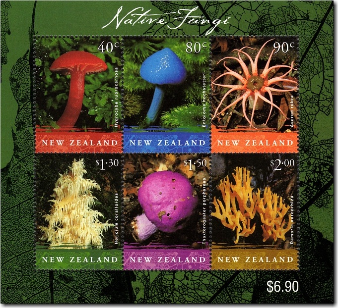 2002 Native Fungi